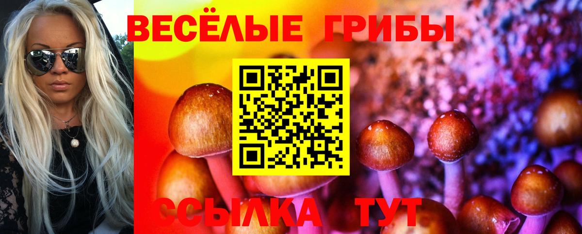 Галлюциногенные грибы Cubensis  Вход с VPN  Псилоцибиновые грибы MAGIC MUSHROOMS  Ялта 